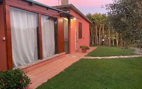 Casa nel verde